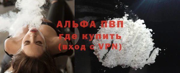 индика Корсаков