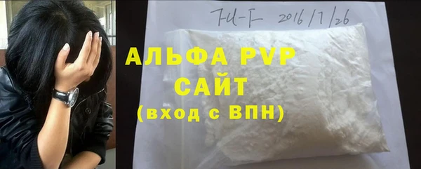 индика Корсаков