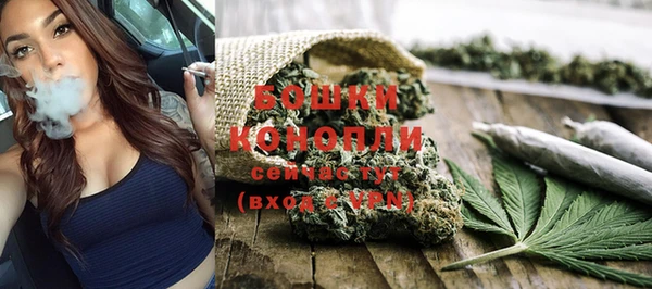 индика Корсаков