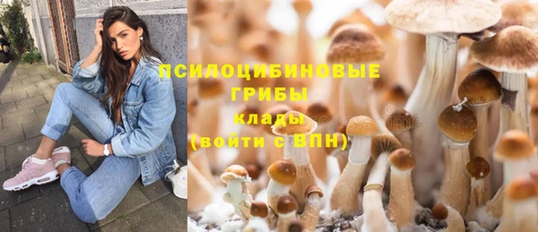 spice Коряжма