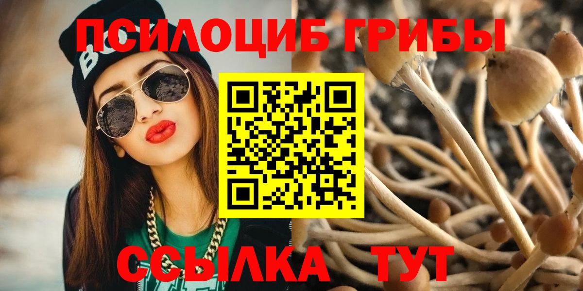 Сокол  Псилоцибиновые грибы GOLDEN TEACHER  наркотики  Галлюциногенные грибы мухоморы  Вход с VPN 