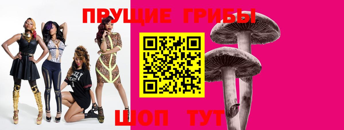 Галлюциногенные грибы мицелий Сокол